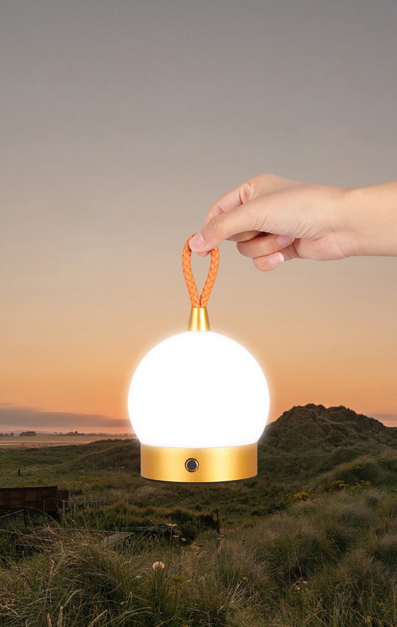 The Niomi – Wireless Waterproof LED Orb