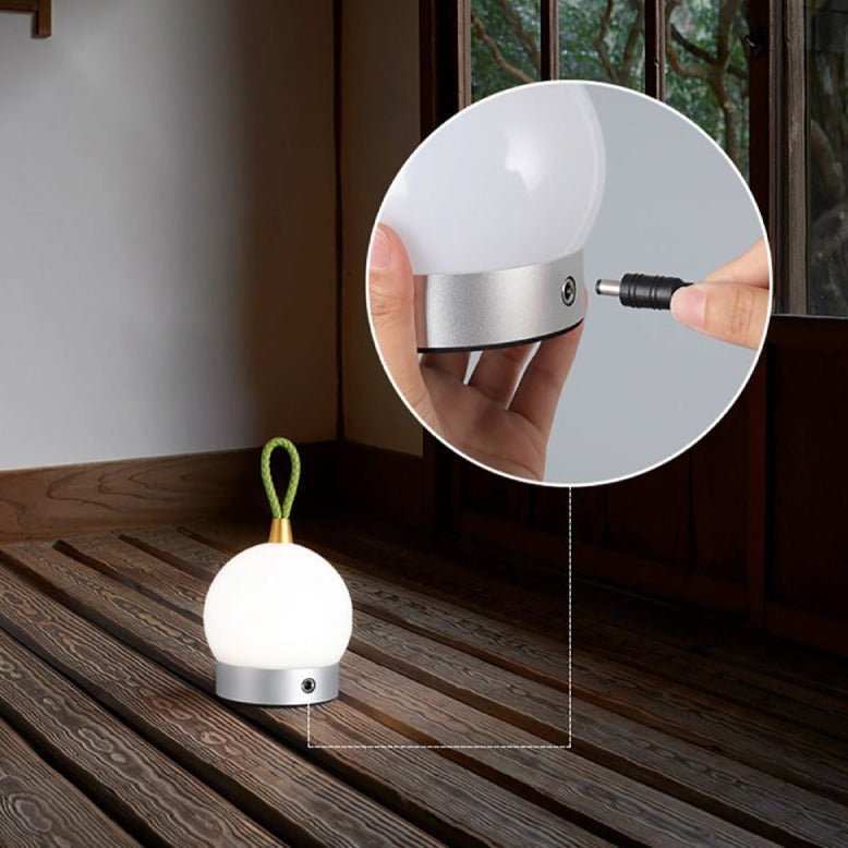 The Niomi – Wireless Waterproof LED Orb - The NiomiSKU_1753009383507_959