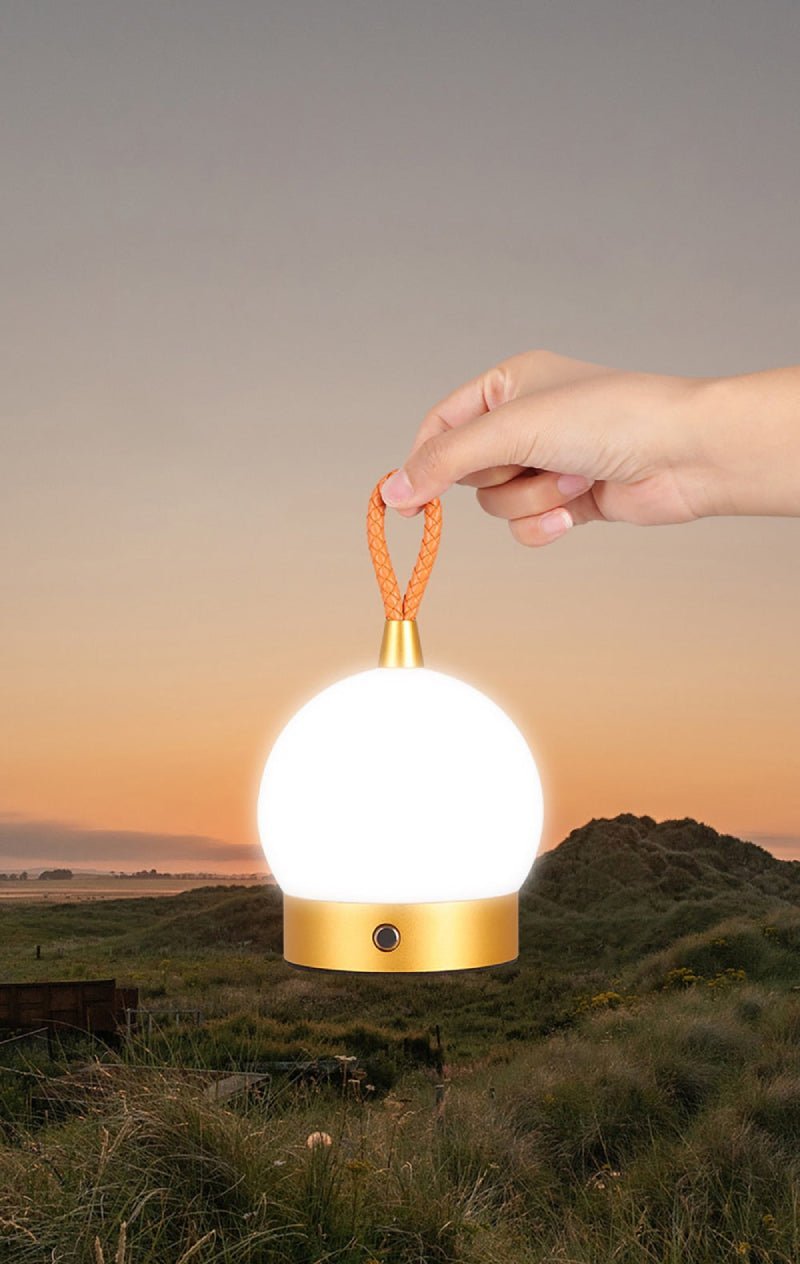 The Niomi – Wireless Waterproof LED Orb - The NiomiSKU_1753009383507_959
